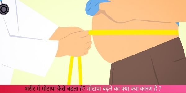 मोटापा क्या खाने से बढ़ता है?