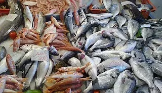 استقرار اسعار الاسماك في السوق