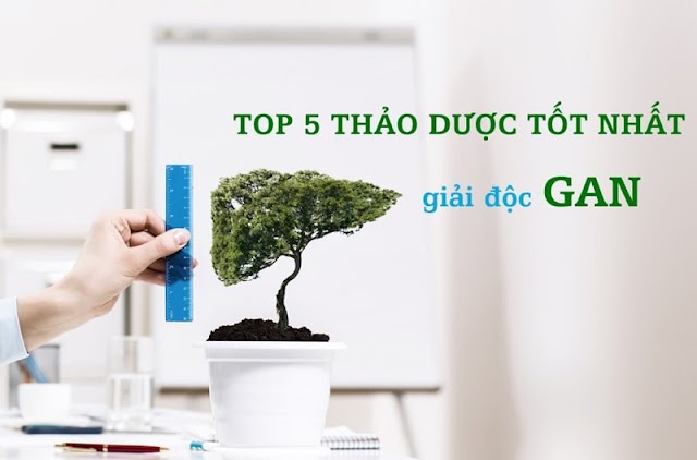 Thuốc mát gan có tác dụng gì, có an toàn không?