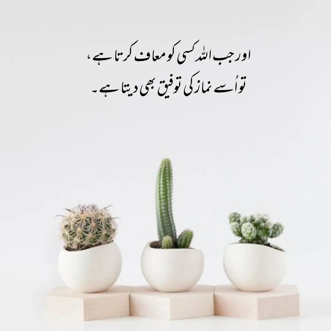 Urdu Poetry Captions For Instagram