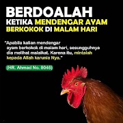 Ayam Berkokok Sebab Nampak Malaikat?