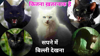 सपने में बिल्ली देखना शुभ या अशुभ  (sapne mein billi dekhna kaisa hota hai) cat in dream meaning in hindi