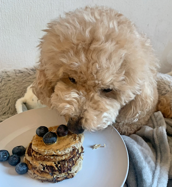 Dog Friendly Pancakes Recipe