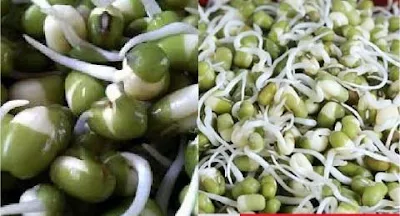 मूंग: उत्तम पोषक तत्वों से भरपूर दलहन का परिचय। Moong Dal