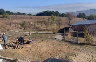 More wood chopping