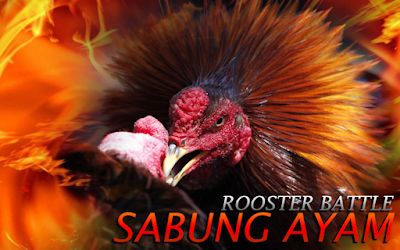 Sabung Ayam Online Situs Agen Sv388 Live Android dan Iphone