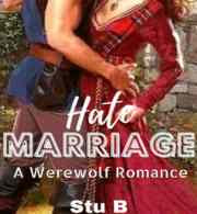 Read Novel Hate Marriage by Stu B Full Episode