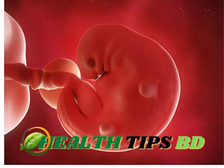 Best Pregnancy tips for normal delivery