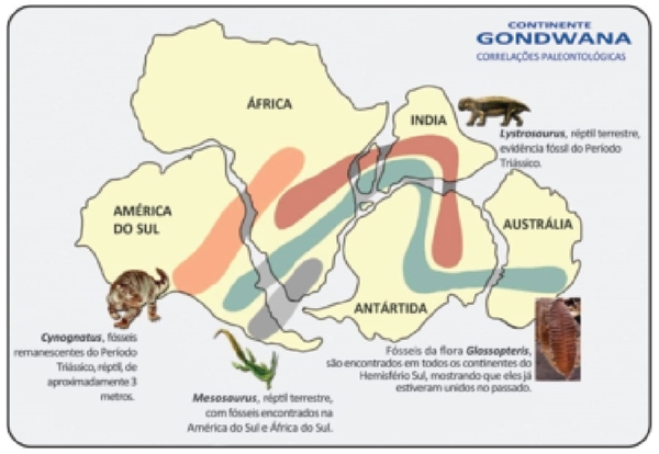 Figura 1 - Ilustração simplificada de Gondwana, constituído pelo que chamamos hoje de América do Sul, África, Índia, Austrália  e Antártida e que, há 200 milhões de anos atrás, formavam um bloco único de terras contínuas.