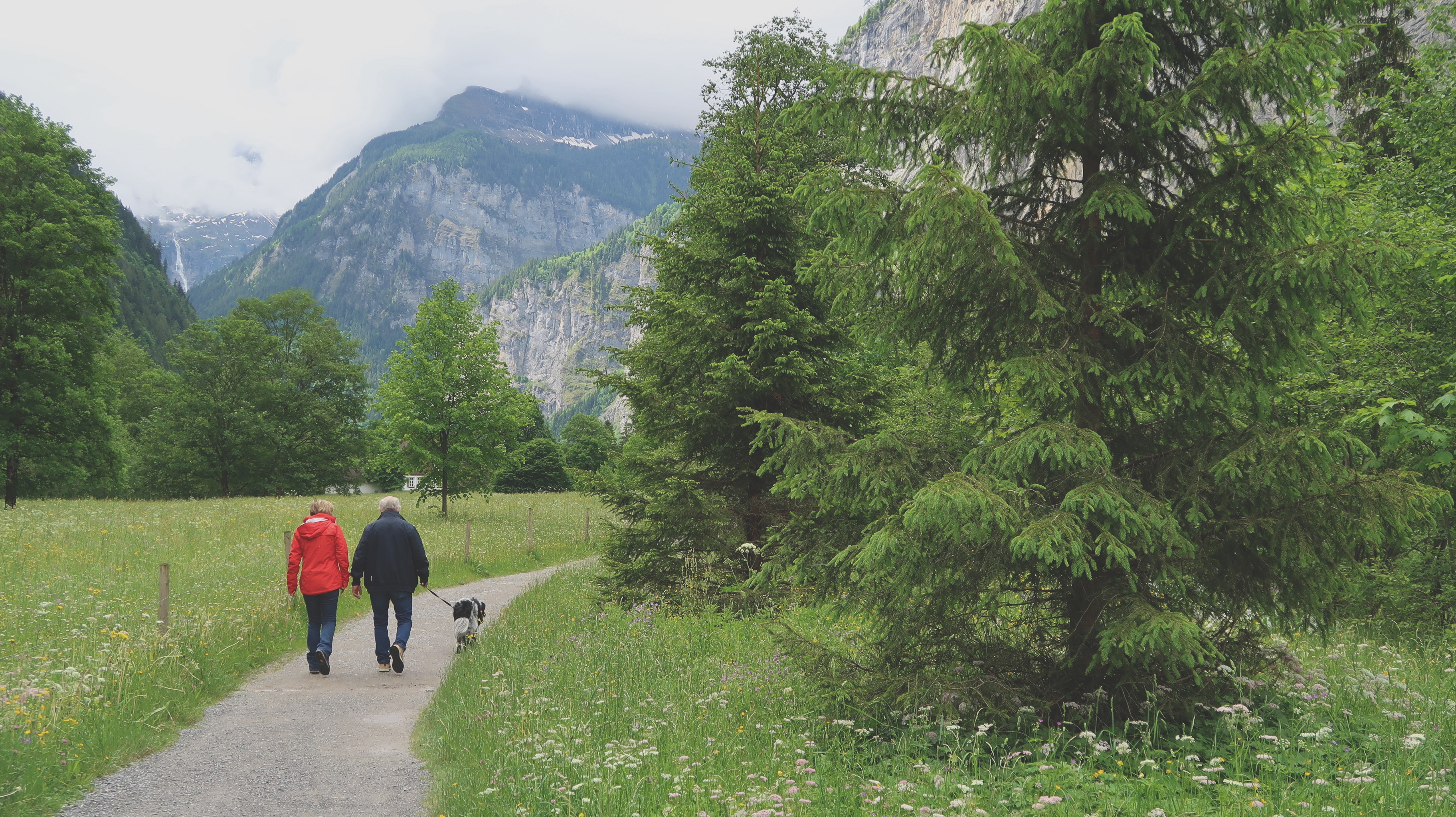 couple walking dog on path surrounded by trees