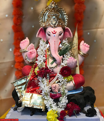 Vinayaka Beautiful Images