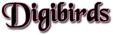 digibirds.online