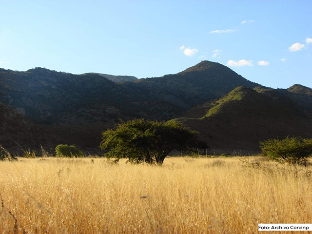 Habitantes del APFF Sierra de San Miguelito buscan Programa de Manejo