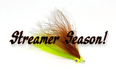 Streamer Fishing, Fall Fly Fishing, Texas Freshwater Fly Fishing, Fly Fishing Texas, Texas Fly Fishing
