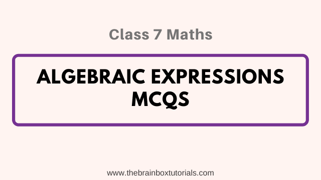 Algebraic Expressions Class 7 MCQ Test