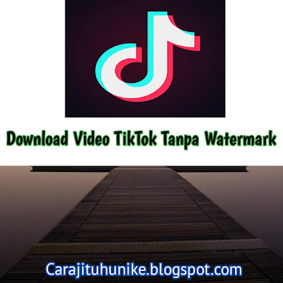 Savefrom TikTok : Download Video TikTok Tanpa Watermark