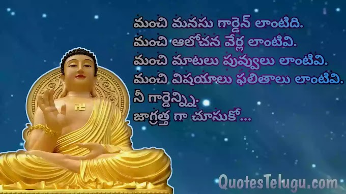 Buddha quotes in Telugu | Gautama Buddha quotes Telugu 