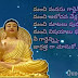 Buddha quotes in Telugu | Gautama Buddha quotes Telugu 