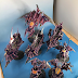 What's On Your Table: Drukhari