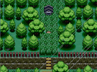 Pokemon The Two Towers Screenshot 02