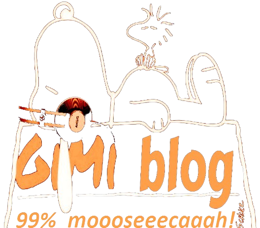 GiMi Blog