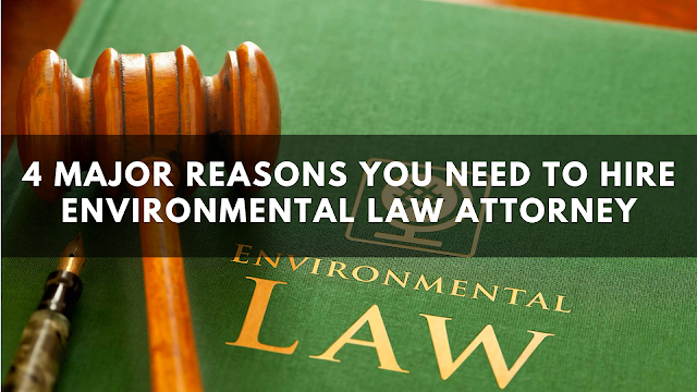 Environmental Law Attorneys