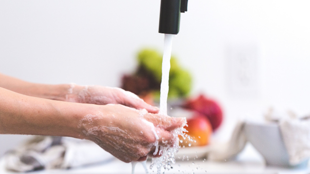Properly wash your fruits and vegetable