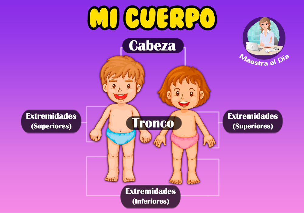 partes del cuerpo humano para niños