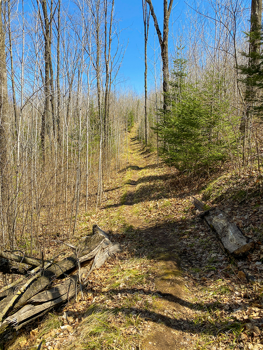 footpath climbing a hill