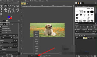 How to Zoom in or out an Image in GIMP