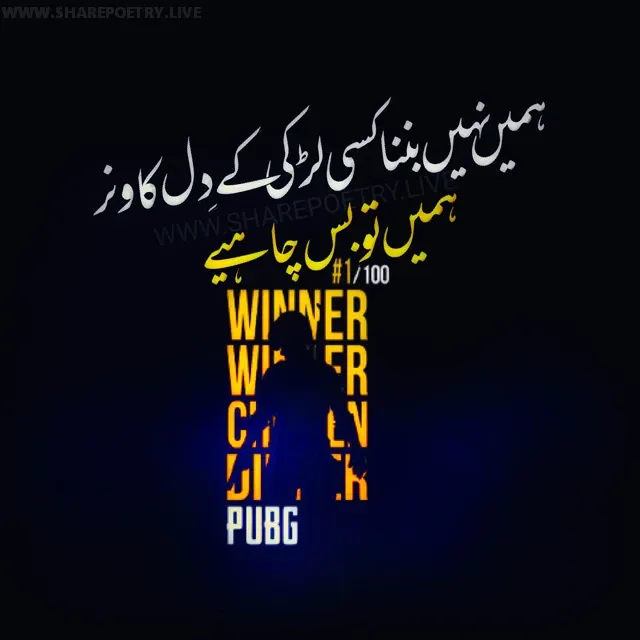 Attitude Status For Pubg Mobile In Urdu Hindi