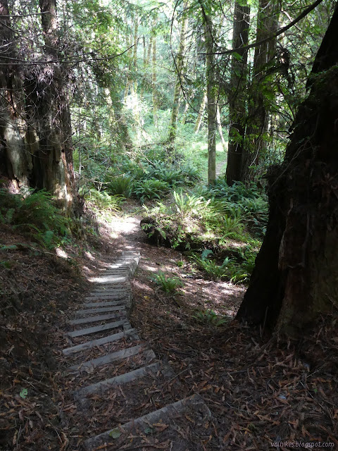 18: long row of steps