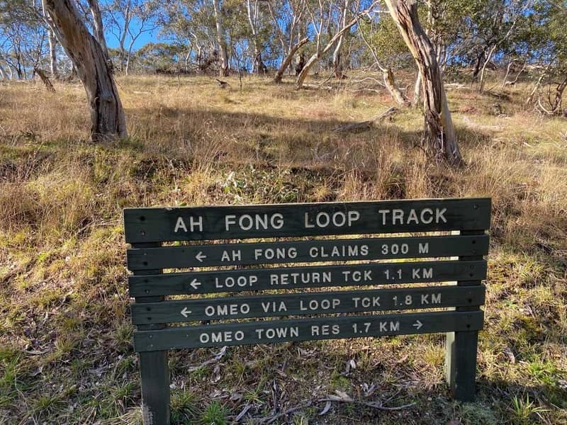 The Oriental Claims Historic Area in Gippsland Victoria