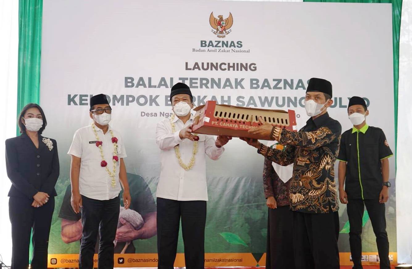 BAZNAS Luncurkan Program Balai Ternak Kelompok Unggas di Purworejo dan Kebumen