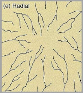 Pola aliran radial