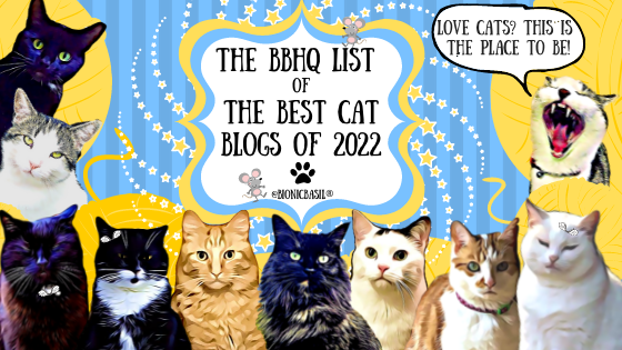 The BBHQ List of The Best Cat Blogs of 2022 ©BionicBasil® Top Cat Blogs for 2022