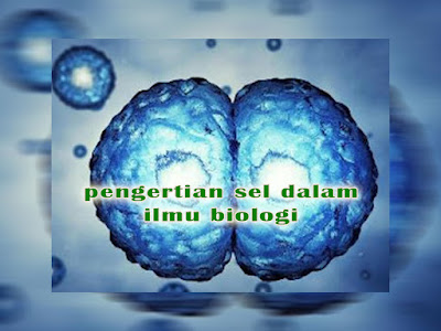 pengertian sel dalam ilmu biologi