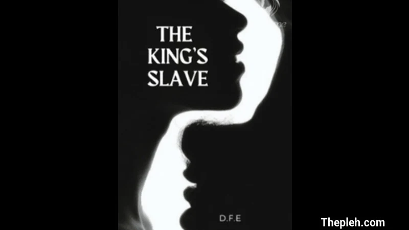 Novel The King's Slave