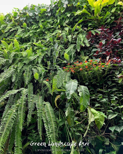Jasa Vertical Garden Manado - Jasa Pembuatan Taman Vertikal di Manado