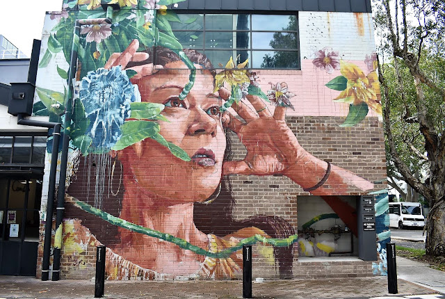 Alexandria Street Art | Mural by Fintan Magee