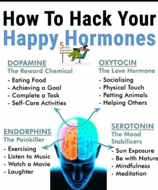 How to hack your happy Hormones