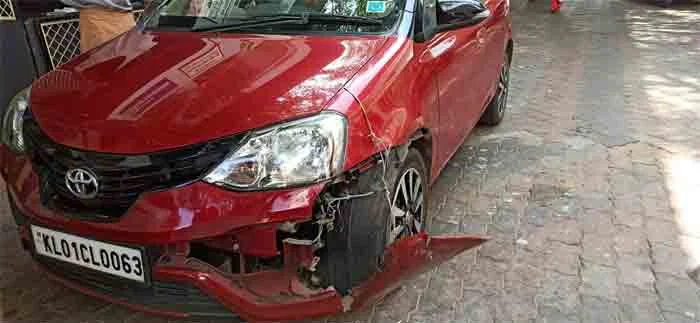 Pig hit the car ,lady doctor escaped, Thiruvananthapuram, News, Local News, Car accident, Doctor, Kerala