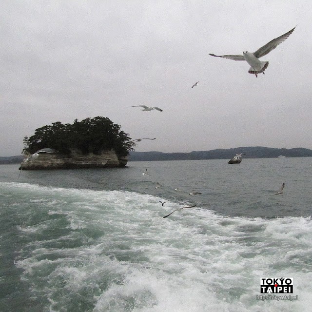 【松島】排行首位的日本三景　搭船巡遊260座島嶼欣賞「盆池月波之景」