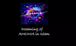 Dreaming of joy,A,Dreaming of Amnesty,Dreaming of Amusement,Dreaming of Ammonia,