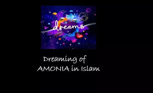 Dreaming of Ammonia interpretation in Islam ibn e siren