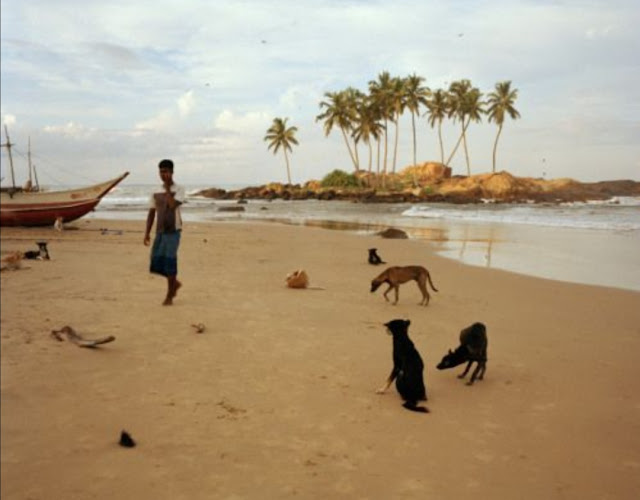 Sri Lanka. © Bruno Barbey