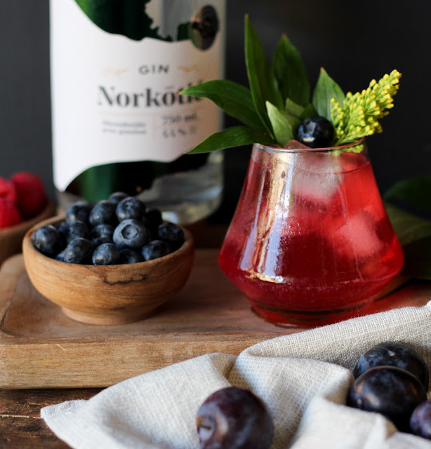 gin-tonic-norkotie,distillerie-vent-du-nord,madame-gin