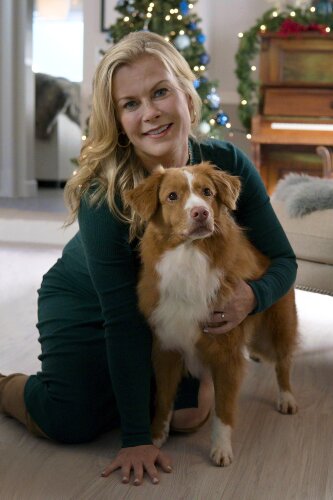 Alison Sweeney cameo in "Time for Them to Come Home for Christmas"