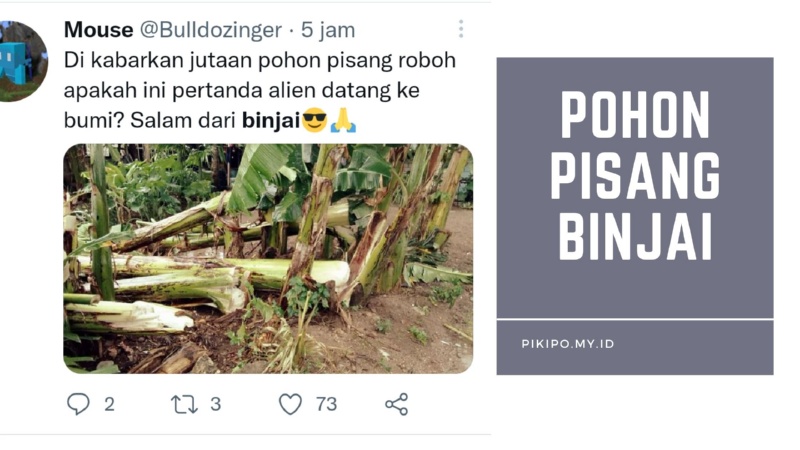 Salam dari binjai maksudnya