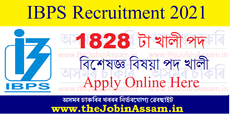 IBPS Recruitment 2021: 1828 Specialist Officer (CRP SPL-XI) vacancy